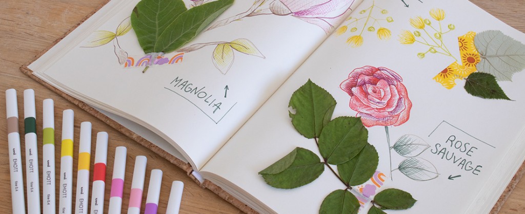Een herbarium maken met de Emott stiften