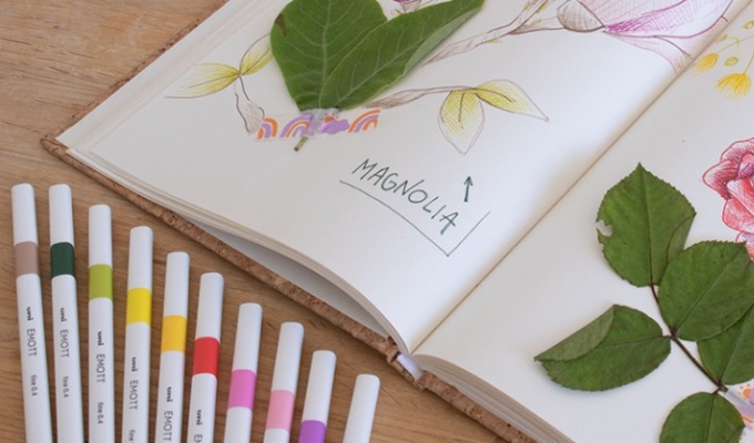 Een herbarium maken met de Emott stiften